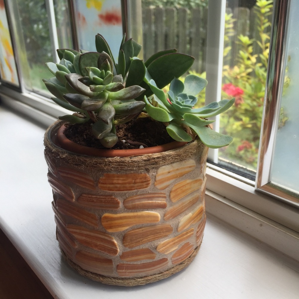 Handmade seashell mosaic bowl